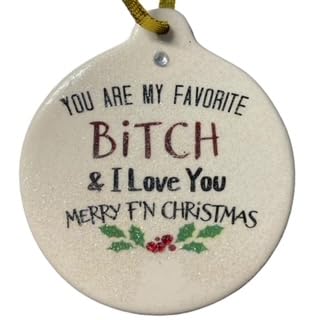 You are My Favorite Bitch ornament with personalization back To From