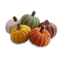 Your Heart's Content MINI Knit Pumpkins set of 5 artisanal decor