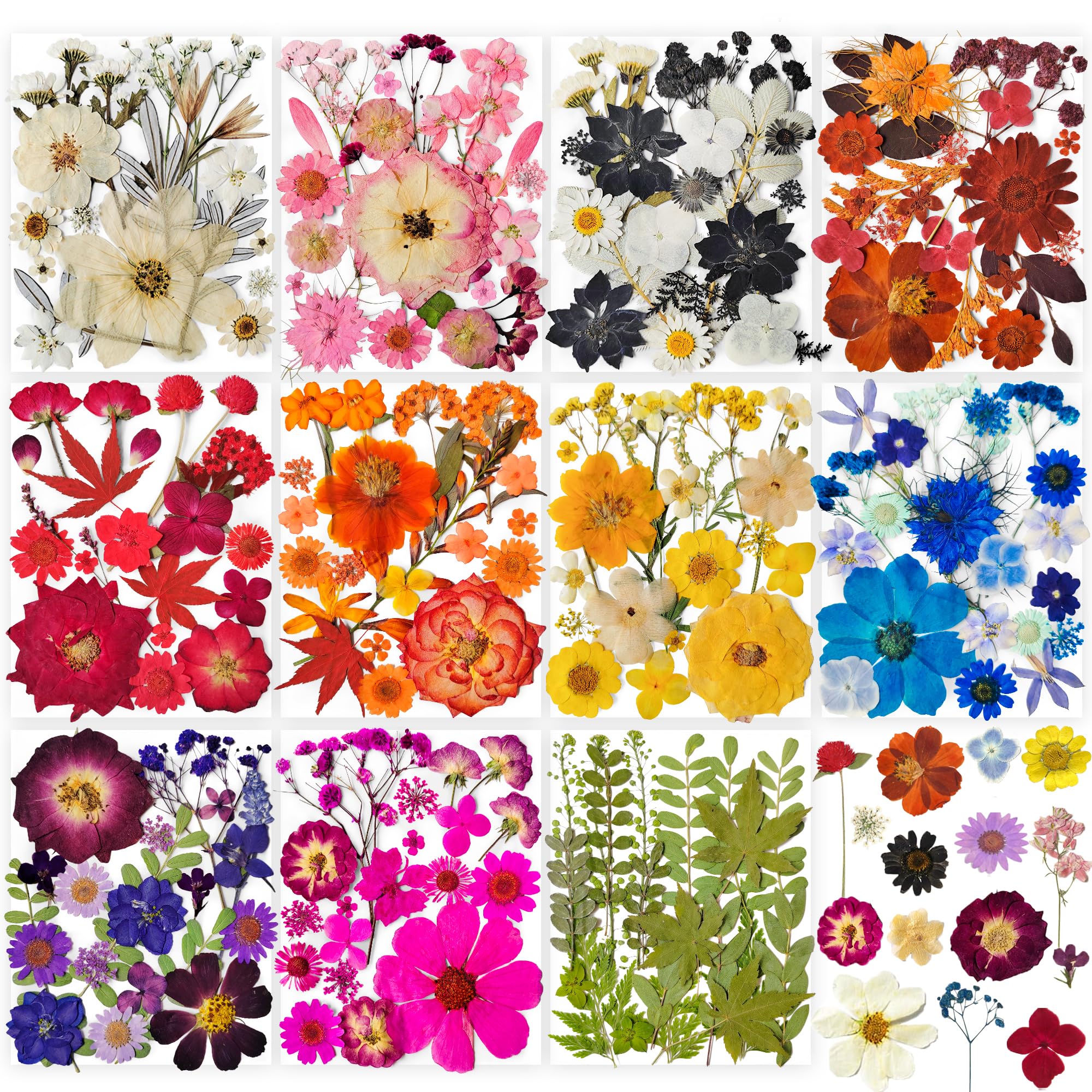 YouthBro 321pcs pressed flowers and butterfly stickers