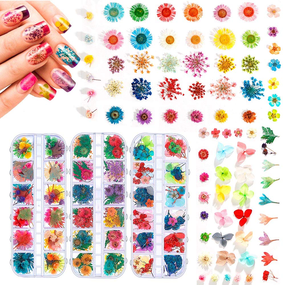 YWLI 324PCS dried flowers nail art kit front view