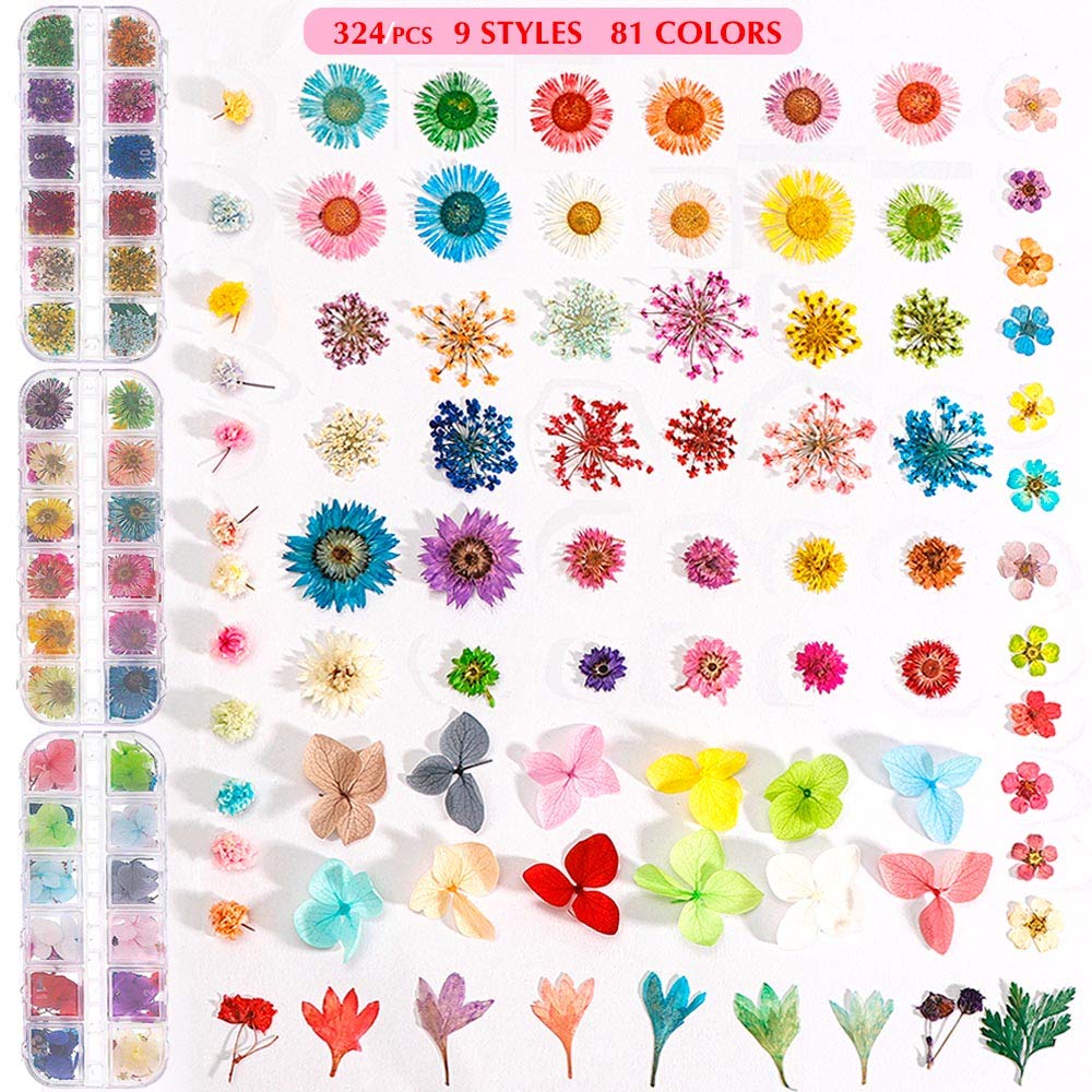 81 colors 9 styles dried flowers for nails close up