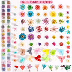 81 colors 9 styles dried flowers for nails close up