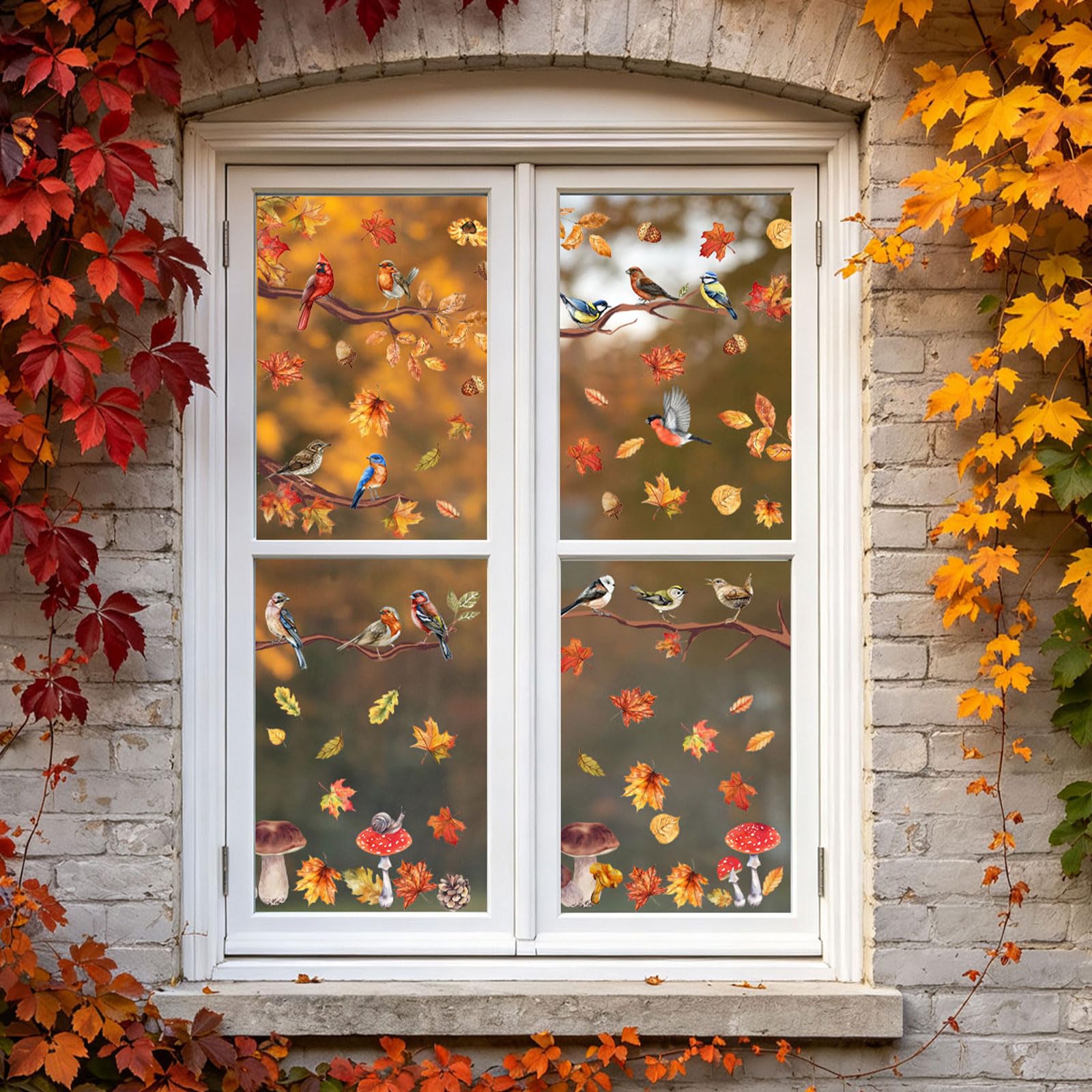 Glue-free reusable clings applied to glass surfaces