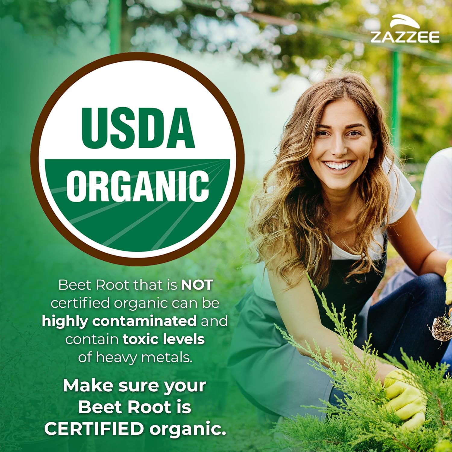 Organic Beet Root Extract 20:1 by Zazzee capsules
