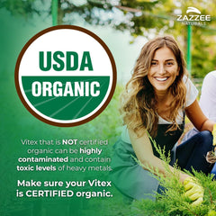 Zazzee Vitex Chasteberry 120 count vegan capsules
