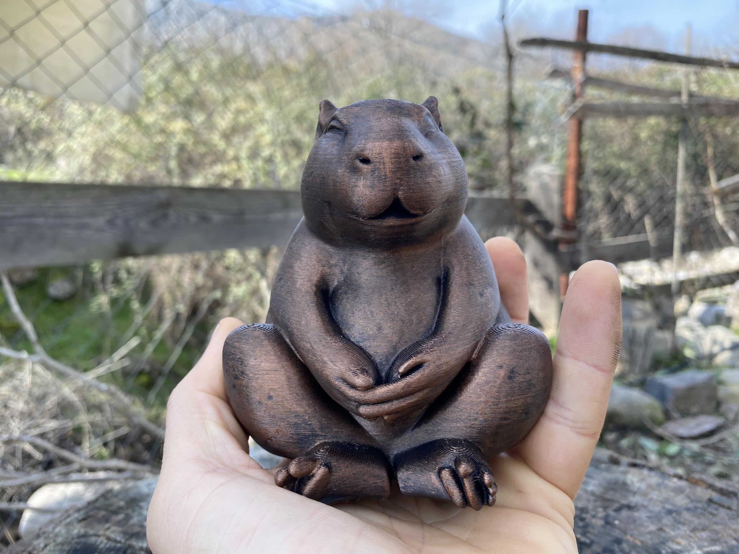 Zen capybara desk decor on shelf