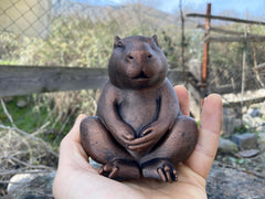 Zen capybara desk decor on shelf