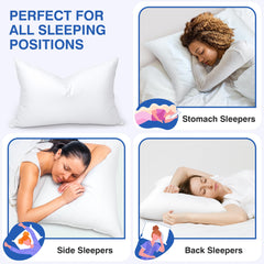 600 thread count cotton cover on zibroges pillow close up