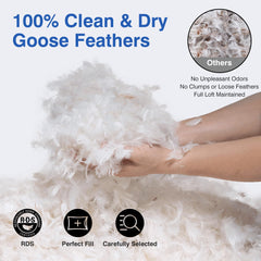 pack of 2 zibroges goose feather pillows in room setup