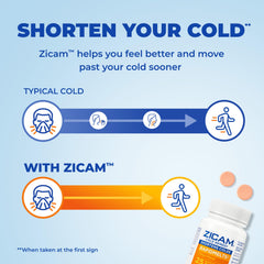 Zicam RapidMelts citrus flavor meltaway tablets pack