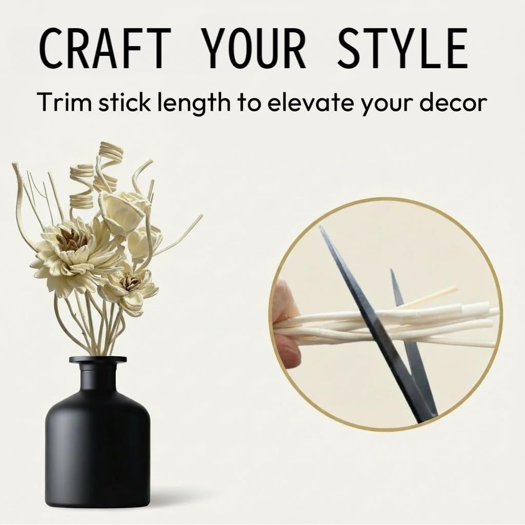 Natural material paper reed sticks for Zorbdra diffuser